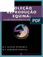 Colecao Reproducao Equina