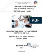 Plan de Auditoria de Hcl. Yauca 2024