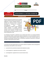 Ficha Informativa #13