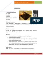 Posiciones Radiologia2024-Páginas-7