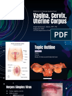 GP11.2 FGT - Vagina, Cervix, Uterus - 1st August 2023 - DR Angel Allanic