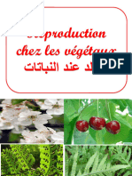 La Reproduction Chez Les Plantes Cours PDF 2