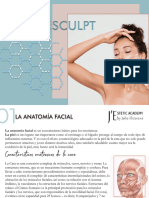 FACESCULPT Esp Â J&amp #039 Estetic Academy - Comprimido