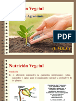 Nutricion Vegetal y Disponibilidad de Nutrientes
