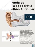 4 Anatomia Daorelha e Topografiado Pavilhão Auricular