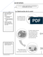 PP24 PDF Ele Co4u01