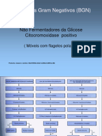 Bastonetes Gram Negativos (BGN) : Não Fermentadores Da Glicose Citocromoxidase Positivo