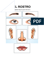 El Rostro para Primer Grado de Primaria