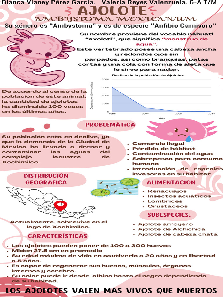 Infografía de Ajolote | PDF