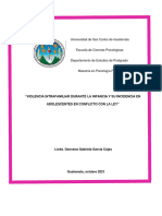 Investigacion de Violencia Intrafamiliar en El