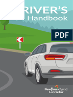 HTTPSWWW - Gov.nl - Camotorregistrationfilesdrivers Driversandvehicles Driverlicensing Road Users Guide PDF