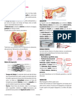 Anatomia y Fisiología