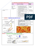 Fiche Technique 7 Observation Du Nerf Dilacere Cellule Nerveuse