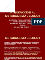 Bioquio Clase I Estomat - Ok Metabolismo Celular