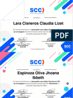 Diplomas Entel Chile Convergente 12 08