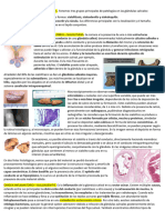 Patología de Las Glándulas Salivales