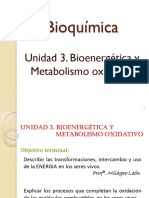 Bioenergetica #1