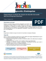 10 RICHES Guide de Diagnostic D'entreprise