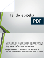 3.tejido Epitelial