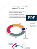 Aula Transtornos Do Crescimento e Da Diferenciação Das Células