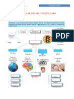 Signo Linguistico-Lenguaje Articulado y No Articulado