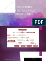 Ultrasonido Obstetrico Por Trimestre: Lourdes Citlalli Lopez Santiz Ryo 1 Ginecologia Y Obstetricia