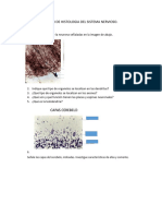 Taller de Histologia Del Sistema Nervioso