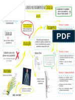 Mapa Mental Aula 01 Treinamento Fisio de Referencia