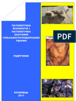 Патологічна фізіологія і патологічна анатомія с г тварин, Омельченко
