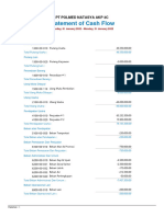 Cash and Flow PT POLMED NATASYA AKP 3C