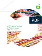 BP Stats Review 2022 Report