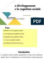 Cognition Sociale Exposé Chaimaa Et Reda