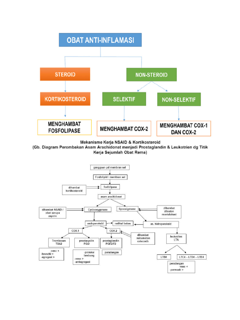 mekanisme-kerja-kortikosteroid-pdf