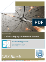 PATH - Cellular Injury of Nervous System