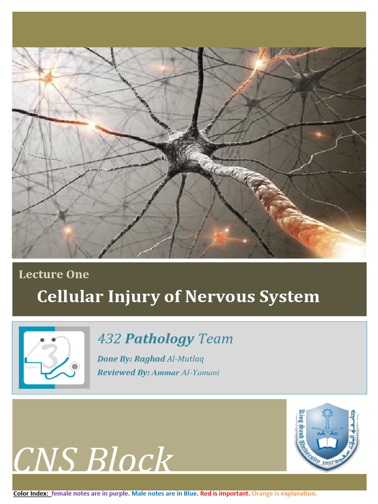 PATH - Cellular Injury of Nervous System | PDF | Myelin | Axon