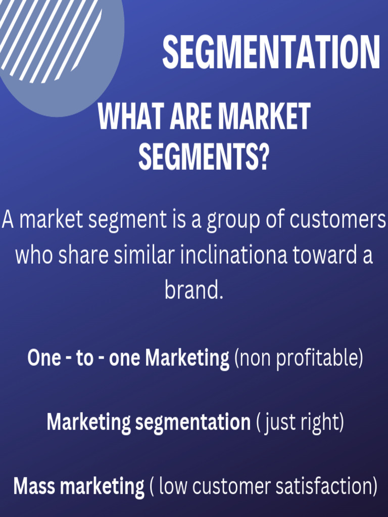 Group 3 Segmentation1 | PDF | Market Segmentation | Marketing