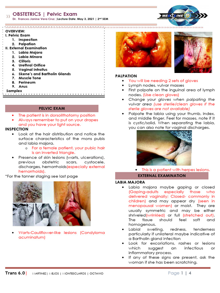 6.0 Pelvic Exam PDF Labia Vagina