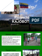 Proyecto Kajoboto