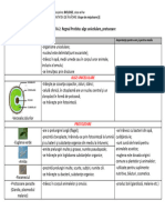 U4.L2. Protiste - Alge Verzi Unicelulare, Protozoare