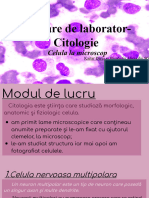 Lucrare de laborator-Citologie