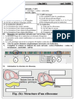 Série Génétique - 1bac SM