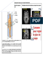 complementFT EduAnatomist