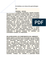 Borradores de Boletas Con Áreas de Aprendizajes