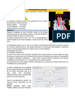 Hipertensión Pulmonar