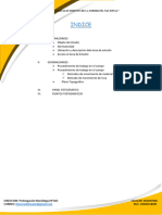 Informe Topografico Otorongo