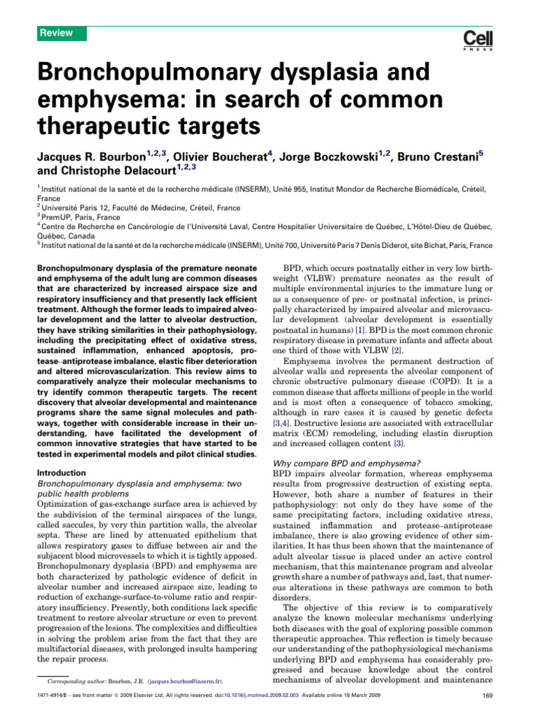 BOURBON 2009 BPD An EmphysemaIn Search of Commom Therapeutic Targets
