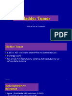 2 - Bladder Tumor