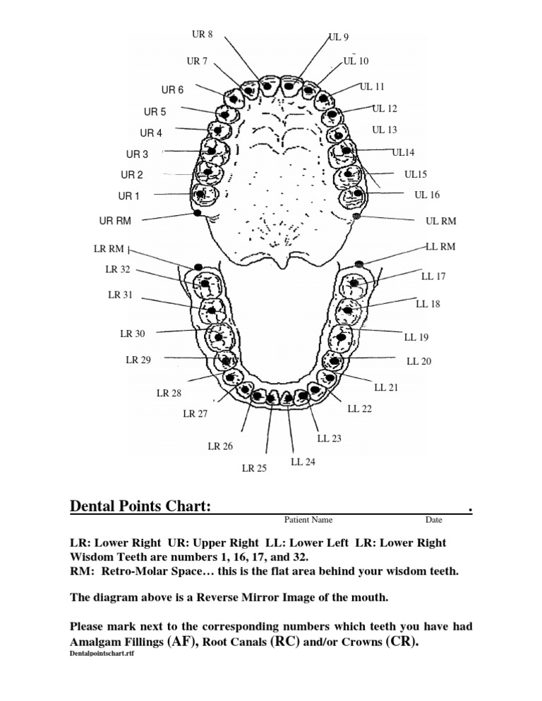 Dental Points Chart . (AF), (RC) (CR) PDF