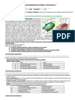 EVAL. DIAGNOSTICA 2 Do - CT