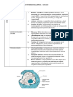 Histologia N3